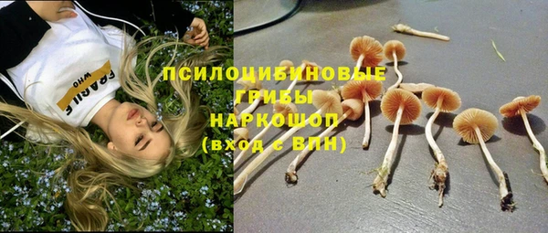дмт Балабаново