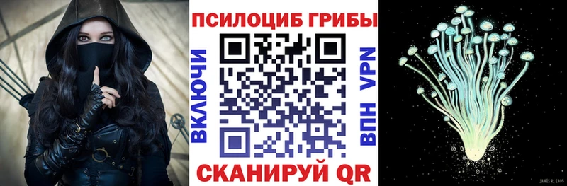 Псилоцибиновые грибы Cubensis  наркотики  Шарья 