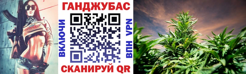 гидра маркетплейс  Шарья  Бошки Шишки сатива  где продают наркотики 